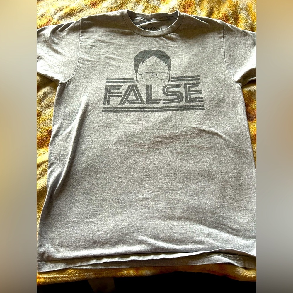 The Office “False” Dwight Schrute Graphic Tee – Ripple Junction, Size M